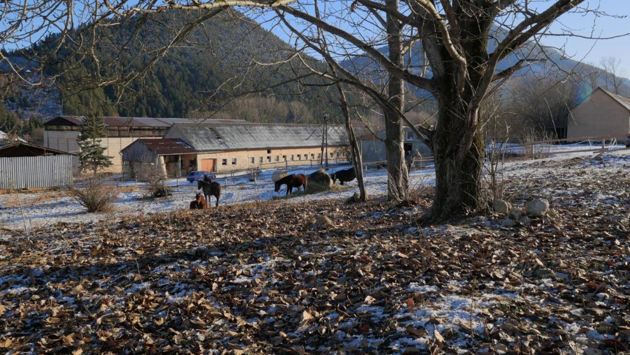 Liptovský MikulášApartmanovy Dom S Virivkou, Pod Secnom, Liptovsky Jan别墅 外观 照片